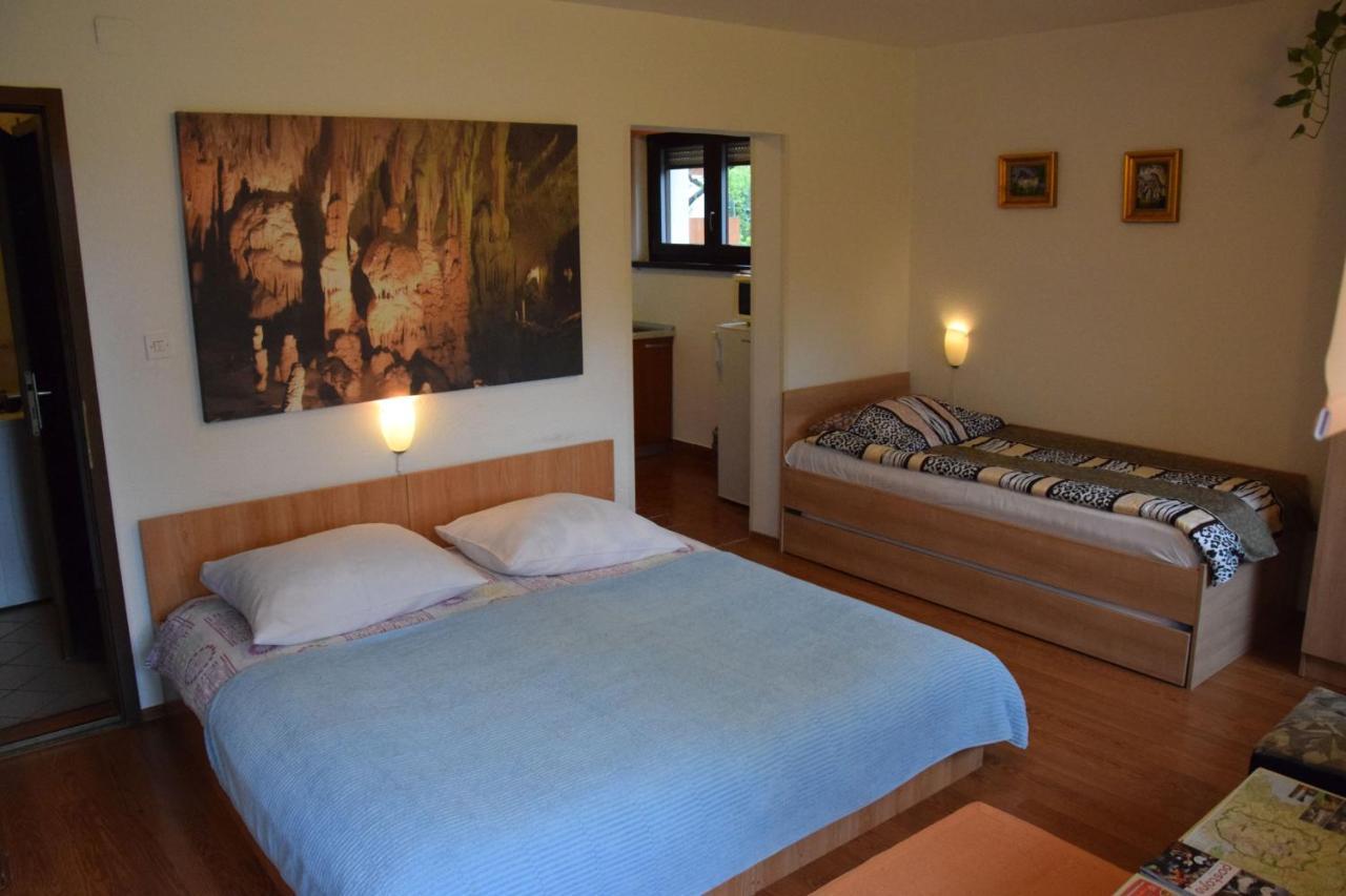 Rooms Ribnikar Postojna Exteriör bild