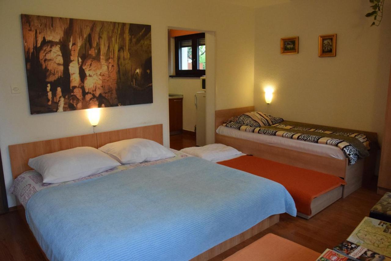 Rooms Ribnikar Postojna Exteriör bild